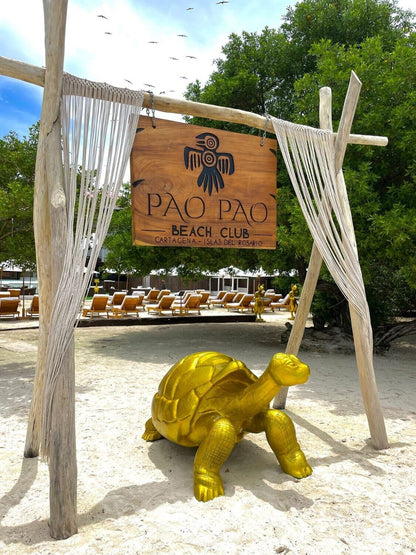 PAO PAO 🌊