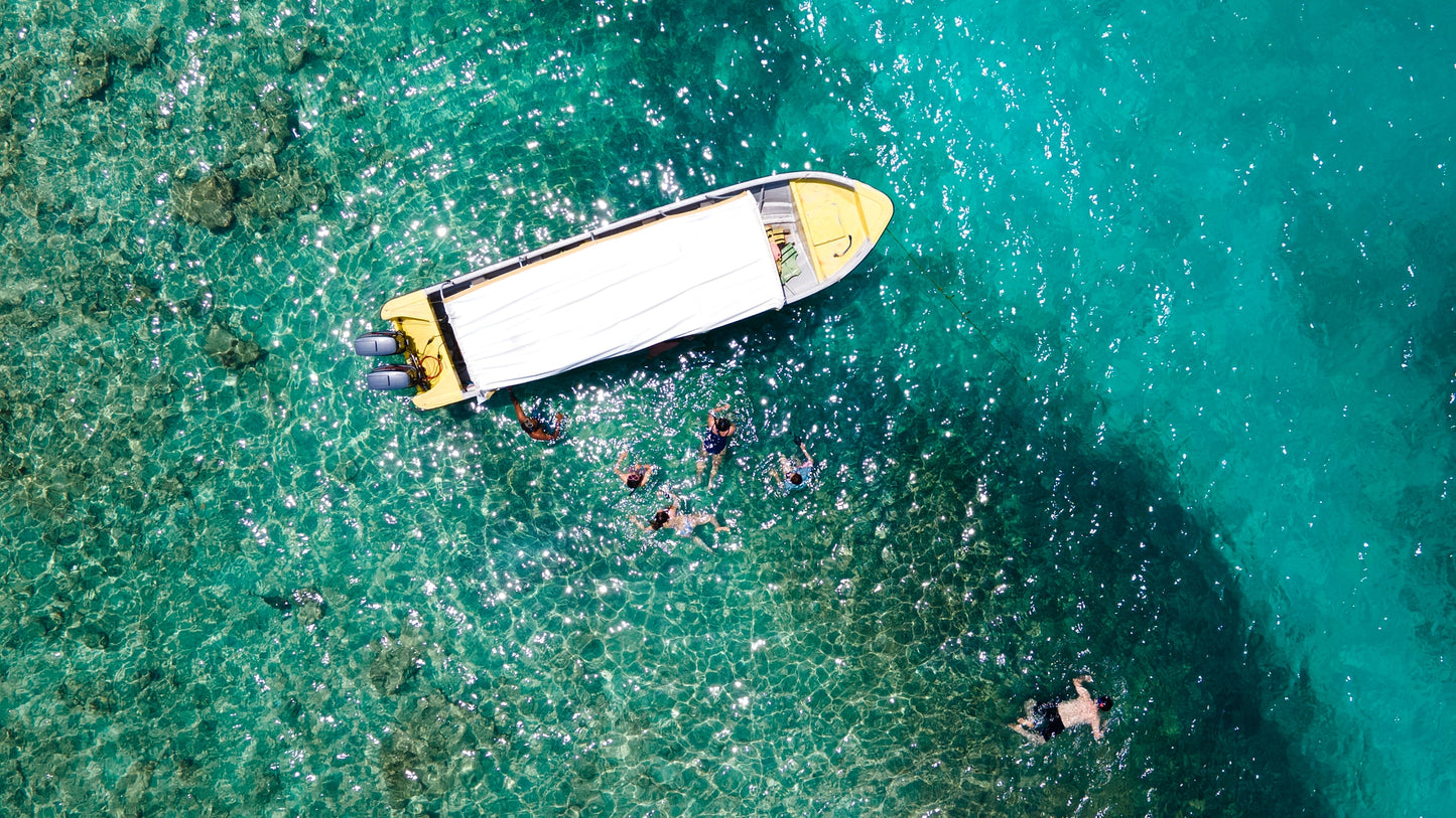 PLAN REEF 🌊