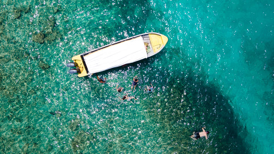 PLAN REEF 🌊