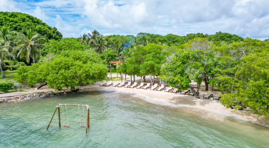 PLAN ABANICO 🌴