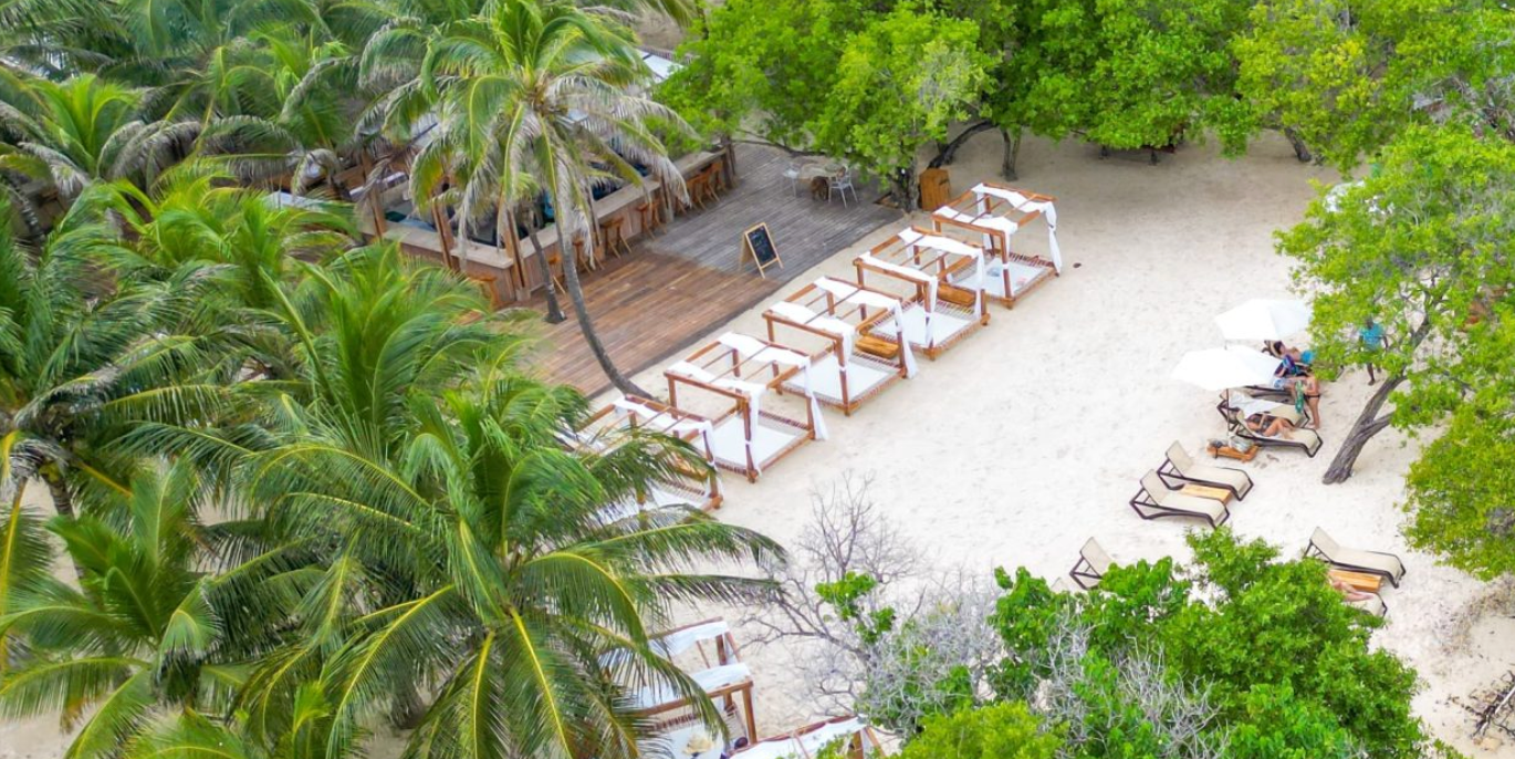 PLAN ABANICO 🌴