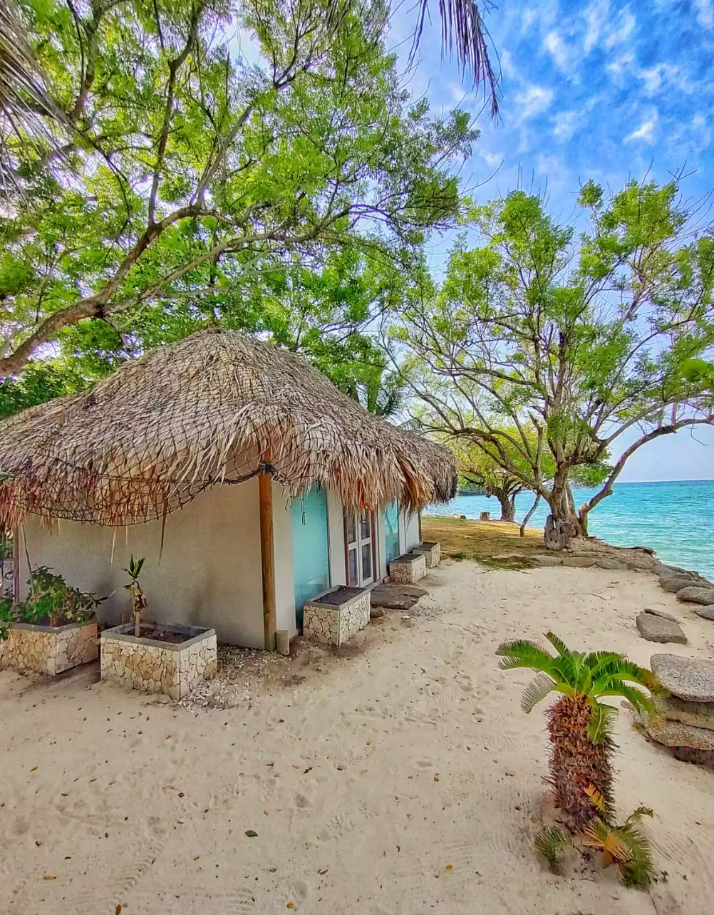 PLAN ABANICO 🌴