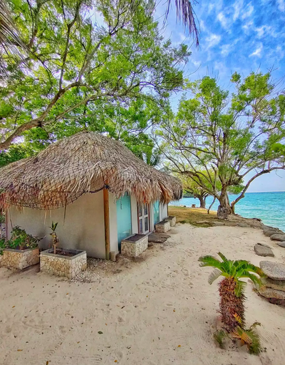 PLAN ABANICO 🌴