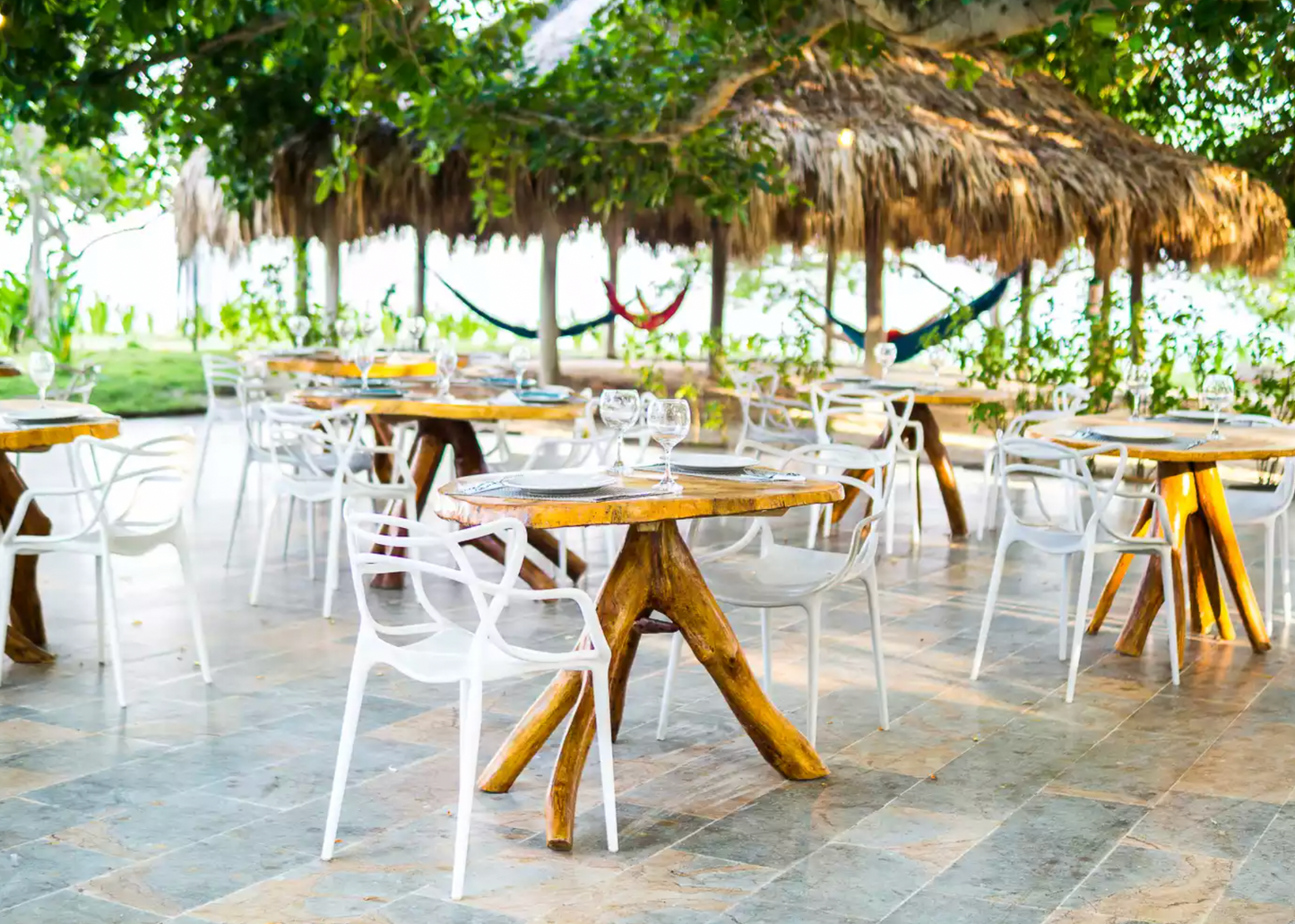 PLAN ABANICO 🌴