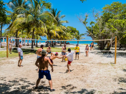 PLAN ABANICO 🌴
