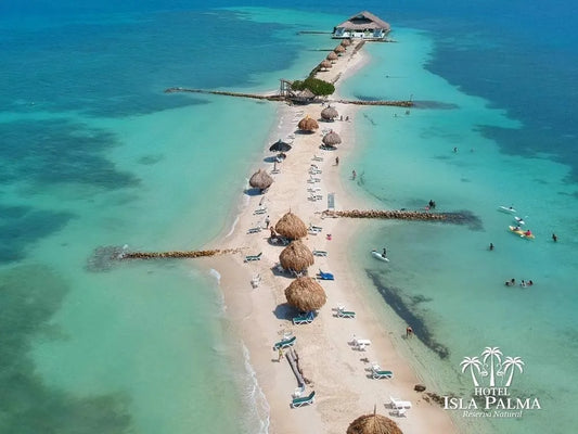 ISLA PALMA🏝️