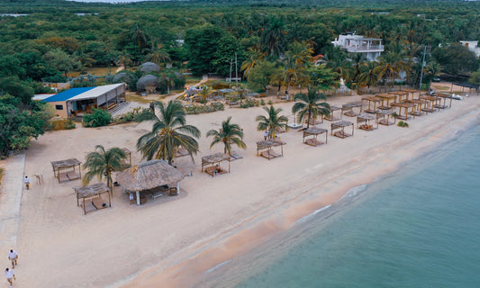 FENIX - TIERRABOMBA🌴🚤