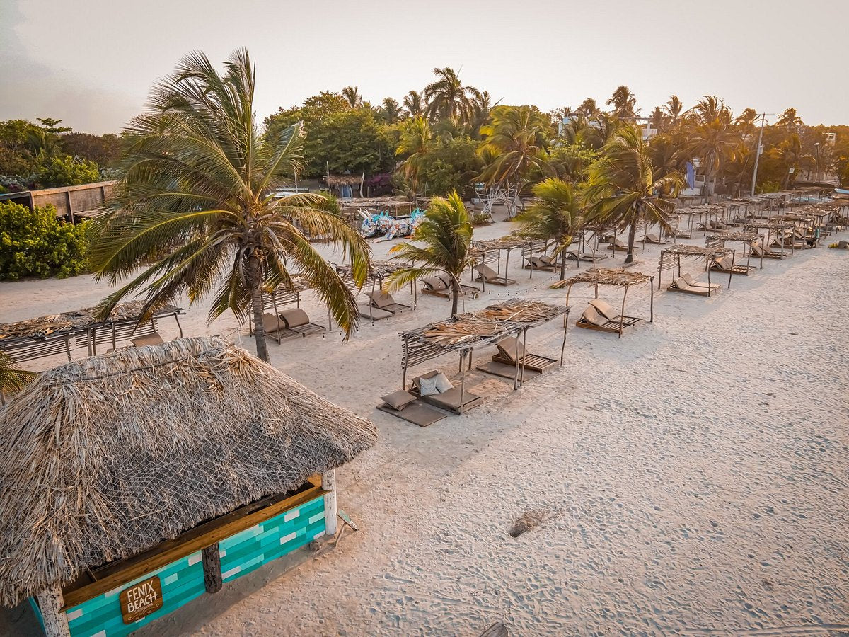 FENIX - TIERRABOMBA🌴🚤